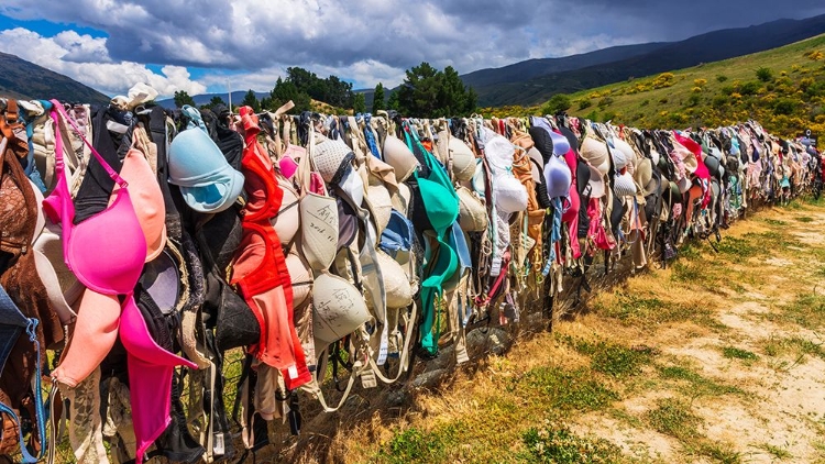 Picture of THE CARDRONA BRA FENCE-BRADRONA-SUPPORTING BREAST CANCER-OTAGO-SOUTH ISLAND-NEW ZEALAND