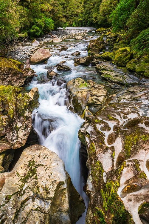 Picture of THE CHASM-FIORDLAND NATIONAL PARK-SOUTH ISLAND-NEW ZEALAND