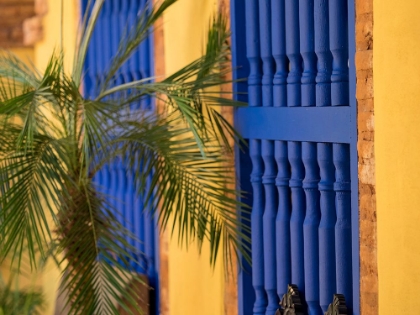 Picture of CUBA-TRINIDAD-UNESCO WORLD HERITAGE SITE-BLUE SHUTTERS IN COURTYARD OF CASA