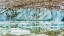 Picture of ICEBERGS ON GLACIAL MELTWATER UNDER MOUNT EDITH CAVELL-JASPER NATIONAL PARK-ALBERTA-CANADA