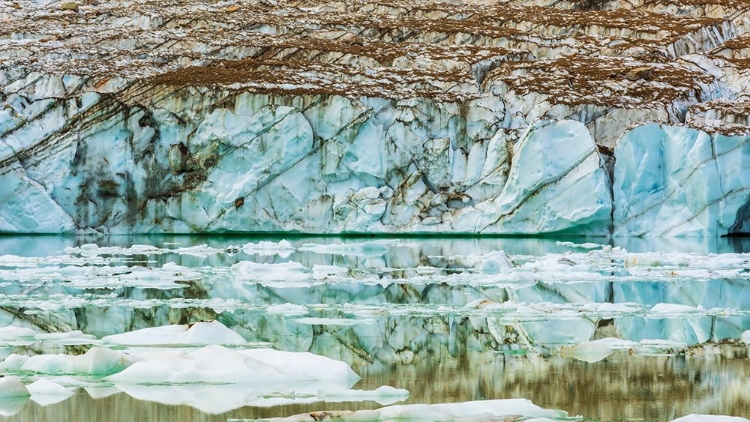 Picture of ICEBERGS ON GLACIAL MELTWATER UNDER MOUNT EDITH CAVELL-JASPER NATIONAL PARK-ALBERTA-CANADA