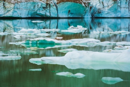 Picture of ICEBERGS ON GLACIAL MELTWATER UNDER MOUNT EDITH CAVELL-JASPER NATIONAL PARK-ALBERTA-CANADA