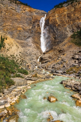 Picture of TAKAKKAW FALLS-YOHO NATIONAL PARK-BRITISH COLUMBIA-CANADA