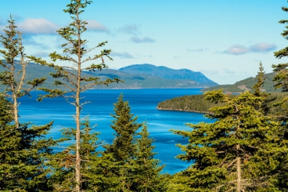 Picture of GROS MORNE NATIONAL PARK-WILD COVE ON BONNE BAY-NEWFOUNDLAND-CANADA