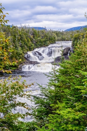 Picture of BAKERS BROOK FALLS-GROS MOURNE NATIONAL PARK-ROCKY HARBOR-NEWFOUNDLAND-CANADA
