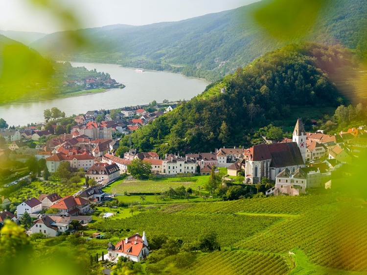 Picture of HISTORIC VILLAGE SPITZ LOCATED IN WINE-GROWING AREA-UNESCO WORLD HERITAGE SITE-LOWER AUSTRIA