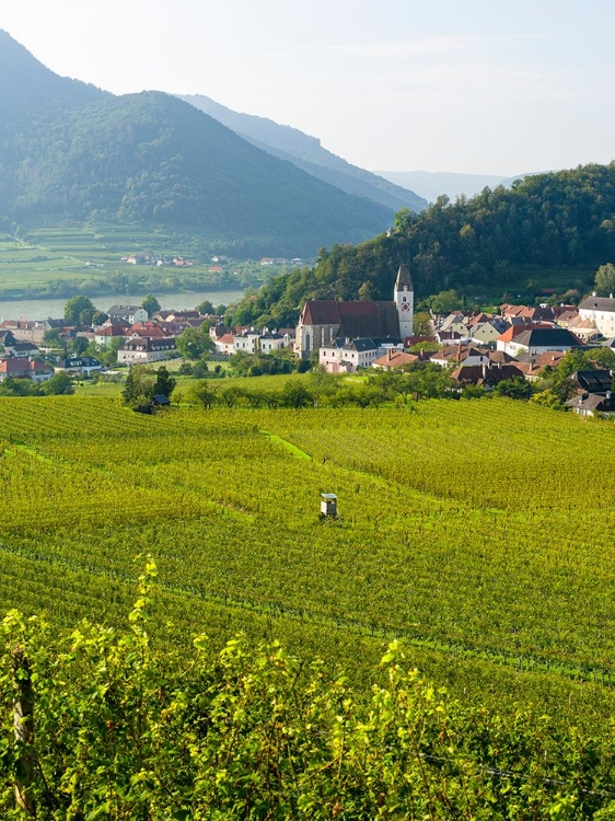 Picture of HISTORIC VILLAGE SPITZ LOCATED IN WINE-GROWING AREA-UNESCO WORLD HERITAGE SITE-LOWER AUSTRIA