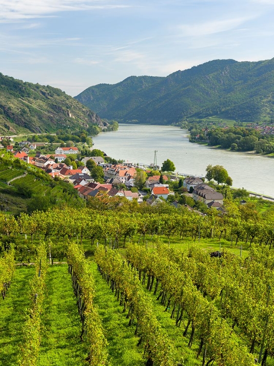 Picture of HISTORIC VILLAGE SPITZ LOCATED IN WINE-GROWING AREA-UNESCO WORLD HERITAGE SITE-LOWER AUSTRIA