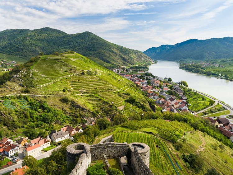 Picture of CASTLE RUIN HINTERHAUS-HISTORIC VILLAGE SPITZ-UNESCO WORLD HERITAGE SITE-LOWER AUSTRIA