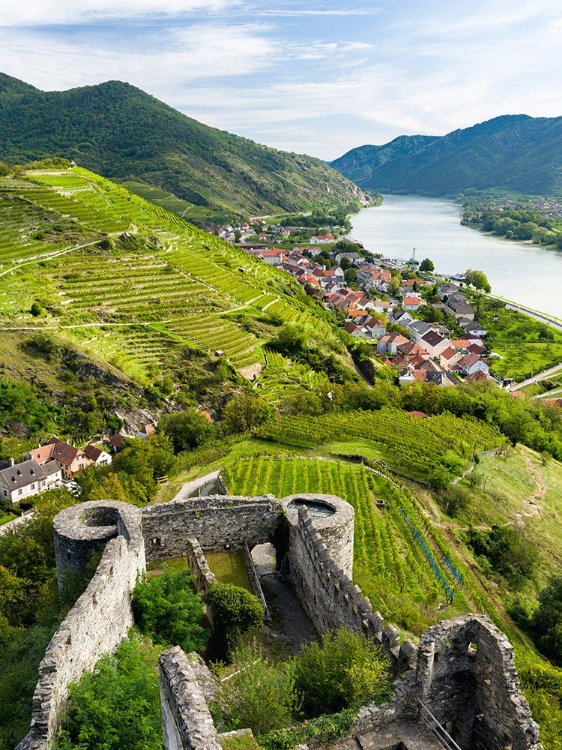 Picture of CASTLE RUIN HINTERHAUS-HISTORIC VILLAGE SPITZ-UNESCO WORLD HERITAGE SITE-LOWER AUSTRIA