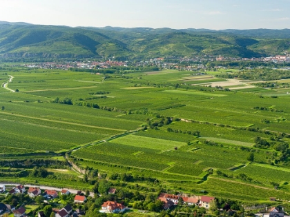 Picture of VIEW TOWARDS THE DANUBE FROM GOTTWEIG ABBEY-A UNESCO WORLD HERITAGE SITE-WACHAU-LOWER AUSTRIA