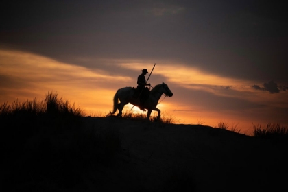 Picture of EUROPE-FRANCE-PROVENCE-CAMARGUE HORSE WITH RIDER AT SUNRISE
