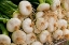 Picture of TENDER GREEN ONIONS ARE PERFECTION AT THIS FARMERS MARKET IN THE FRENCH VILLAGE OF LOUHANS
