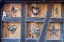 Picture of COLMAR-FRANCE OLD TOWN COLMAR ADORNED WITH CHRISTMAS DECORATION THE TOWN WAS FOUNDED IN 9TH CENTURY