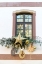 Picture of STRASBOURG-FRANCE CHRISTMAS DECORATION ADORNS WINDOWS