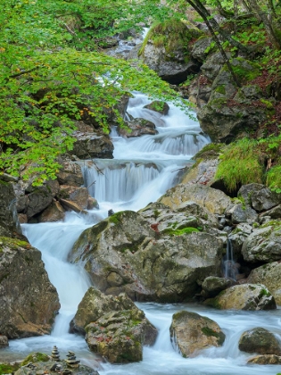 Picture of WATERFALL IN GORGE OF GAISALPBACH NEAR OBERSTDORF IN THE ALLGAU-GERMANY-BAVARIA