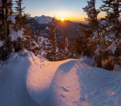 Picture of VIEW FROM MT-JOCHBERG NEAR LAKE WALCHENSEE TOWARDS MT-HERZOGSTAND DURING WINTER IN THE BAVARIAN ALP