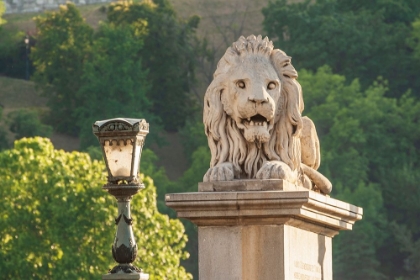 Picture of HUNGARY-BUDAPEST-LION SCULPTURE ON THE SZECHENYI CHAIN BRIDGE