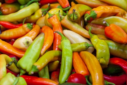 Picture of VARIETY OF PEPPERS