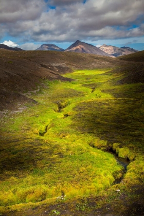 Picture of COLORFUL LICHEN ALONG SMALL STREAM IN THE MOUNTAINS-ICELAND