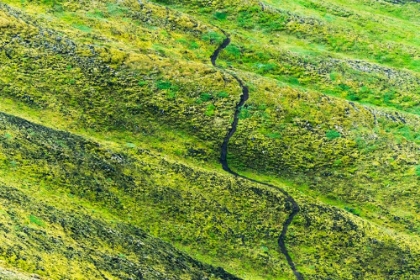 Picture of A WINDING PATH IN THE MOUNTAIN-LANDMANNALAUGAR-ICELAND