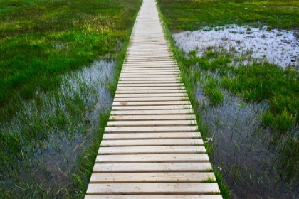 Picture of A PLANK PATHWAY IN LANDMANNALAUGAR-ICELAND