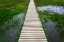 Picture of A PLANK PATHWAY IN LANDMANNALAUGAR-ICELAND