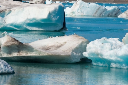Picture of ICEBERGS IN JOKULSARLON GLACIAL LAGOON-ICELAND
