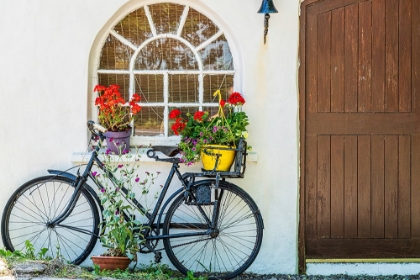 Picture of EUROPE-IRELAND-COUNTY CORK-BICYCLE NEXT TO HOUSE WITH POTTED PLANTS