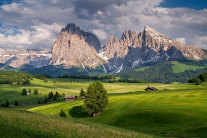 Picture of EUROPE-ITALY-SOUTH TIROL-ALPINE MEADOWS WITH THE SASSO LUNGO AND SASSO PIATTO MOUNTAINS