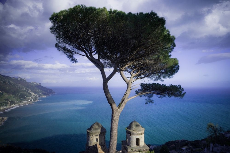 Picture of EUROPE-ITALY-RAVELLO-CYPRESS TREE AND CHURCH DOMES OVERLOOK OCEAN