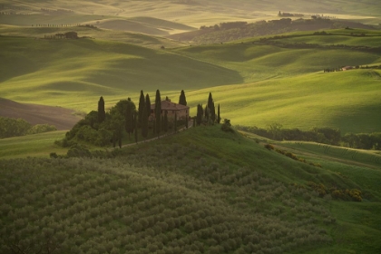 Picture of EUROPE-ITALY-TUSCANY-VAL DORCIA-BELVEDERE FARMHOUSE AT SUNRISE 