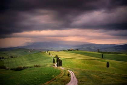 Picture of EUROPE-ITALY-TUSCANY-VAL DORCIA-ROAD THROUGH FARMING LANDSCAPE