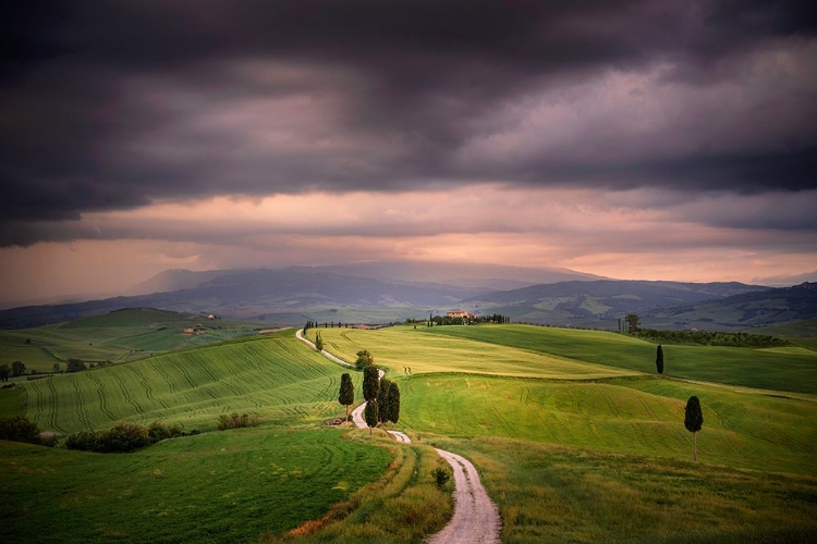 Picture of EUROPE-ITALY-TUSCANY-VAL DORCIA-ROAD THROUGH FARMING LANDSCAPE