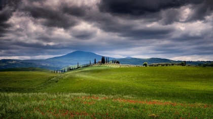 Picture of EUROPE-ITALY-TUSCANY-VAL D ORCIA-FARMLAND UNDER STORMY SKY
