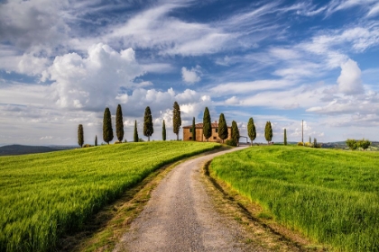 Picture of EUROPE-ITALY-TUSCANY-VAL D ORCIA-ROAD TO IL CIPRESSINI FARMHOUSE
