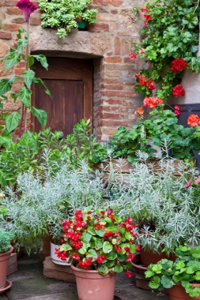 Picture of ITALY-TUSCANY-PIENZA POTTED PLANTS IN THE CORNER OF A STREET IN THE TOWN OF PIENZA