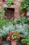 Picture of ITALY-TUSCANY-PIENZA POTTED PLANTS IN THE CORNER OF A STREET IN THE TOWN OF PIENZA