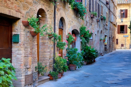 Picture of ITALY-TUSCANY-PIENZA FLOWER POTS AND POTTED PLANTS DECORATE A NARROW STREET IN A TUSCANY VILLAGE