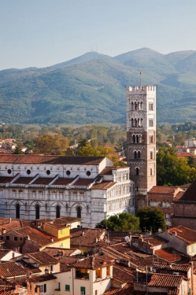 Picture of ITALY-TUSCANY-LUCCA THE ROOFTOPS OF THE HISTORIC LUCCA MEDIEVAL BELL TOWER OF ST MARTIN CATHEDRAL