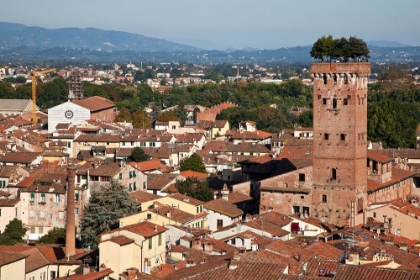 Picture of ITALY-TUSCANY-LUCCA THE ROOFTOPS OF THE HISTORIC CENTER OF LUCCA AND THE GUINIGI TOWER