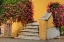 Picture of ITALY-TUSCANY STAIRS COVERED IN FLOWERS