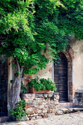 Picture of ITALY-TUSCANY COURTYARD OF AN AGRITURISMO NEAR THE HILL TOWN OF MONTALCINO