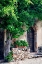 Picture of ITALY-TUSCANY COURTYARD OF AN AGRITURISMO NEAR THE HILL TOWN OF MONTALCINO