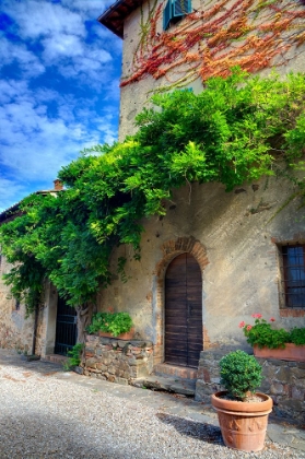Picture of ITALY-TUSCANY COURTYARD OF AN AGRITURISMO NEAR THE HILL TOWN OF MONTALCINO