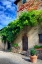 Picture of ITALY-TUSCANY COURTYARD OF AN AGRITURISMO NEAR THE HILL TOWN OF MONTALCINO