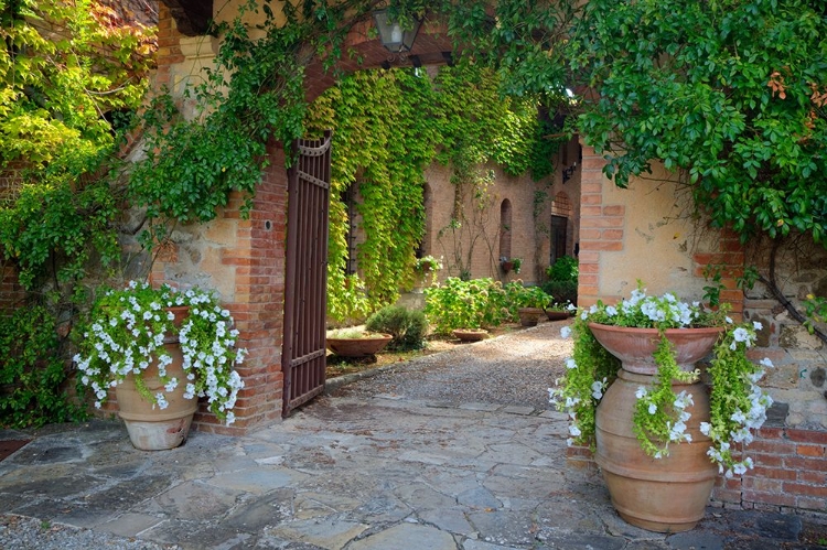 Picture of ITALY-TUSCANY COURTYARD OF AN AGRITURISMO NEAR THE HILL TOWN OF MONTALCINO