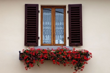 Picture of ITALY-RADDA IN CHIANTI FLOWER BOXES WITH RED GERANIUMS BELOW A WINDOW WITH SHUTTERS