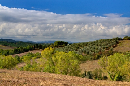 Picture of ITALY-TUSCANY TUSCAN LANDSCAPE