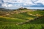 Picture of ITALY-TUSCANY A VIEW OF THE VINEYARDS AND VILLA IN CHIANTI REGION OF TUSCANY-ITALY